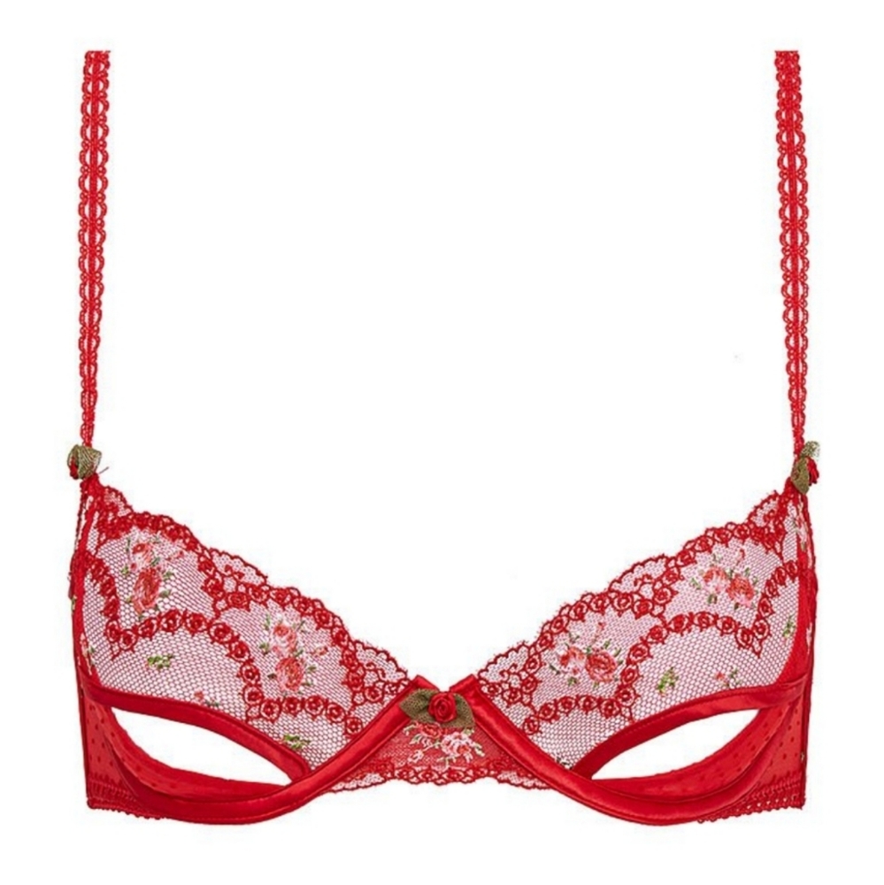 For Love and Lemons Victoria's Secret Rouge Bra